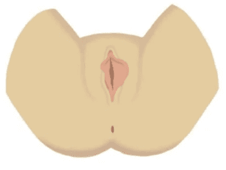 Assimetria